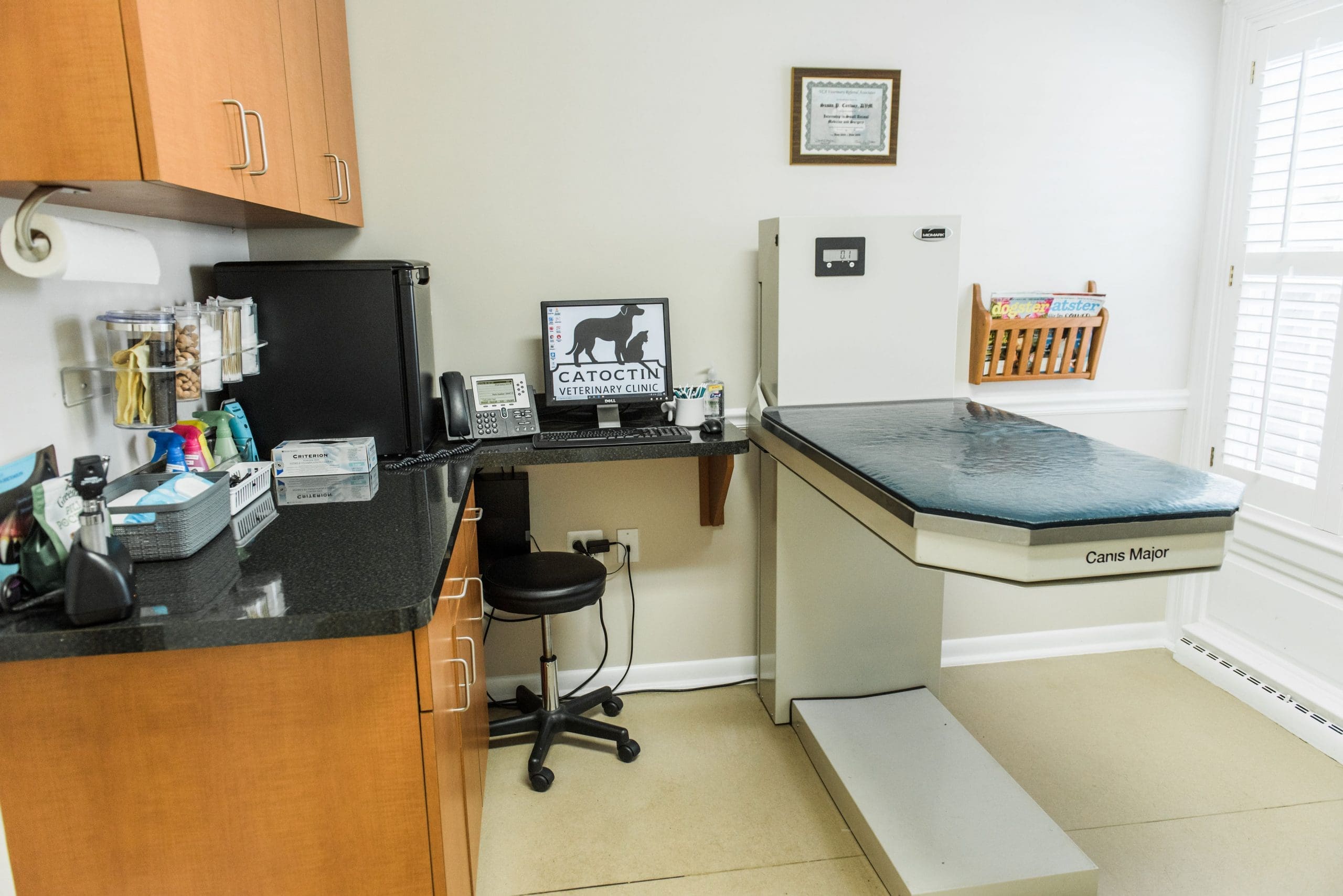 A veterinary exam room.