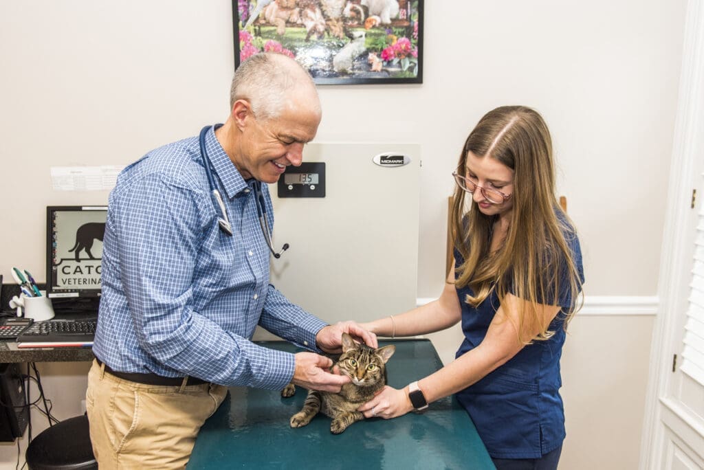 A veterinarian and tech caring for a cat.